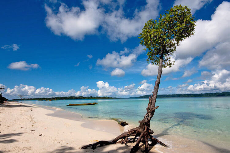 domestic_tour_packages_andaman_islands-port blair