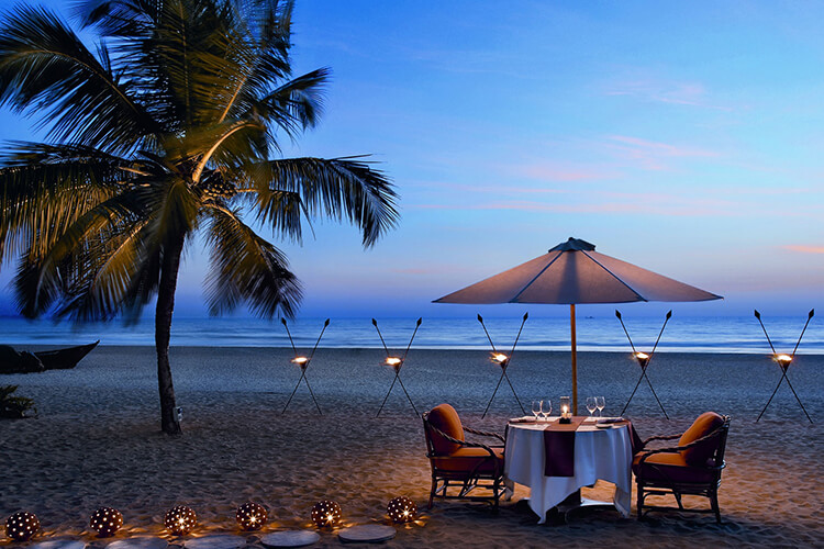 The Sea Horse Resort