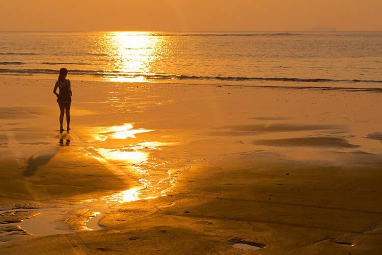 The Sea Horse Resort