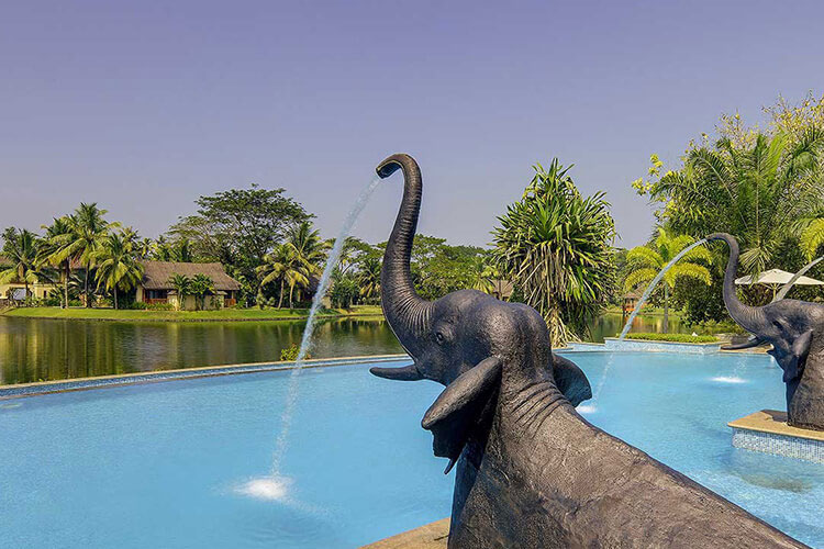 Cochin 1N| Munnar 2N| Thekkady 1N| Alleppey 1N| Kovalam 2N