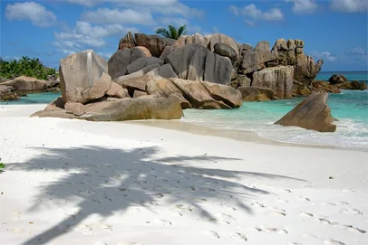 Seychelles Delight