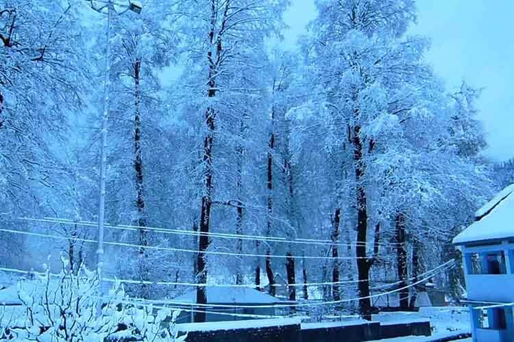 Kullu Manali Volvo Tour