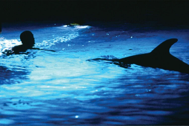 Mauritius + Reunion Island Tour