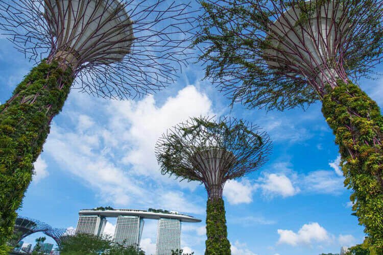 Singapore Highlights