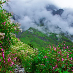 valley-of-flower