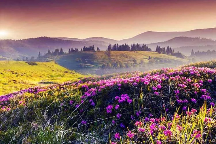 Sindhu Darshan Package